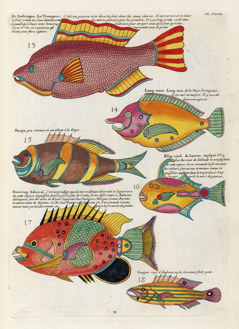 Historical scientific illustration